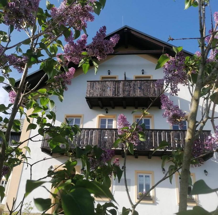 Penzion Henke Srbská Kamenice Buitenkant foto