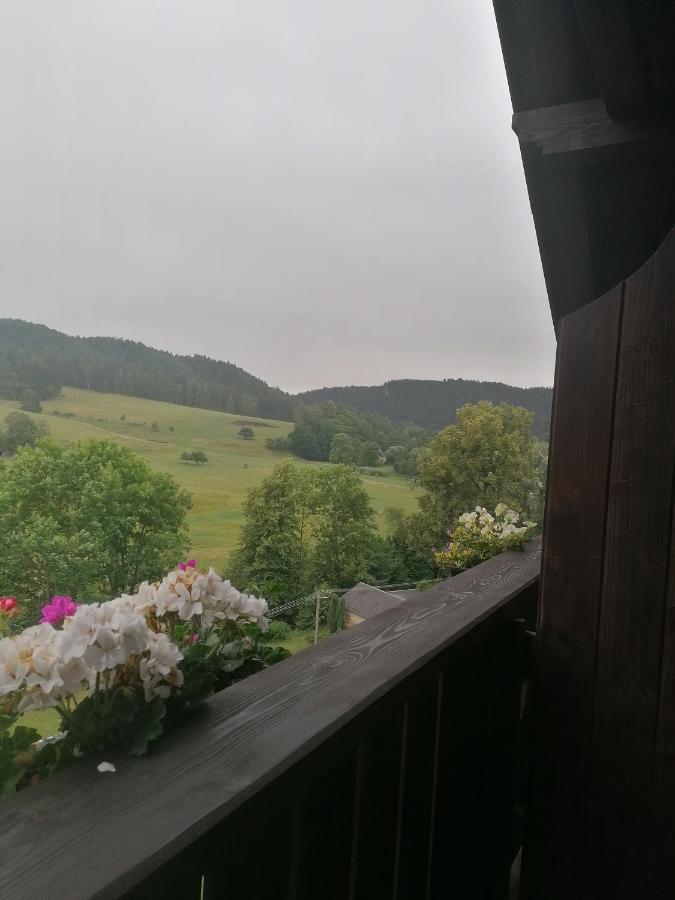 Penzion Henke Srbská Kamenice Buitenkant foto